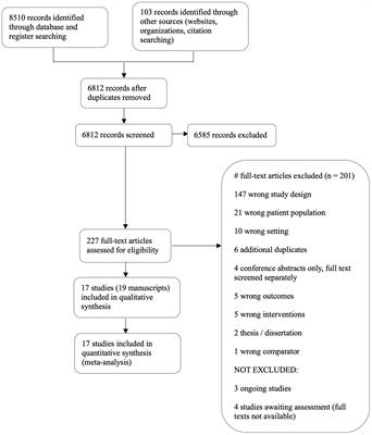 Social support, educational, and behavioral modification interventions for improving household disaster preparedness in the general community-dwelling population: a systematic review and meta-analysis